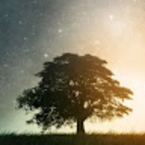 Meet your Posher, Amme